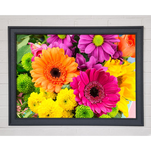 Ebern Designs Gerbera Flower Mix Einzelne Bilderrahmen Kunstdrucke